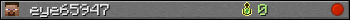 eye65947 userbar 350x20
