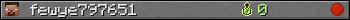 fewye797651 userbar 350x20