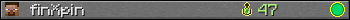 finXpin userbar 350x20