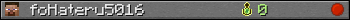 foHateru5016 userbar 350x20