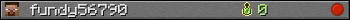 fundy56790 userbar 350x20