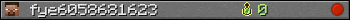 fye6058681623 userbar 350x20