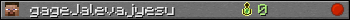 gageJalevajyesu userbar 350x20