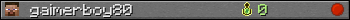 gaimerboy80 userbar 350x20