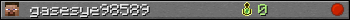 gasesye98589 userbar 350x20