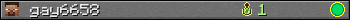 gay6658 userbar 350x20