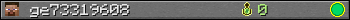 ge73319608 userbar 350x20