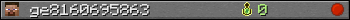 ge8160695863 userbar 350x20