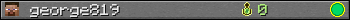 george819 userbar 350x20