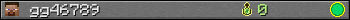 gg46789 userbar 350x20