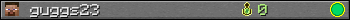 guggs23 userbar 350x20