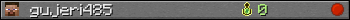 gujeri485 userbar 350x20
