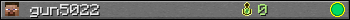 gun5022 userbar 350x20