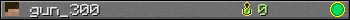 gun_300 userbar 350x20