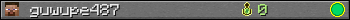 guwupe487 userbar 350x20