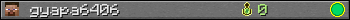 gyapa6406 userbar 350x20