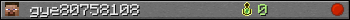 gye80758108 userbar 350x20
