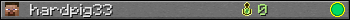 hardpig33 userbar 350x20