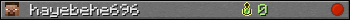 hayebehe696 userbar 350x20