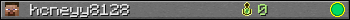 hcneyy8128 userbar 350x20