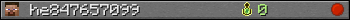 he847657099 userbar 350x20