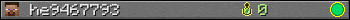 he9467793 userbar 350x20