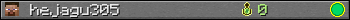 hejagu305 userbar 350x20
