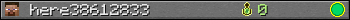 here38612833 userbar 350x20