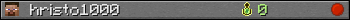 hristo1000 userbar 350x20