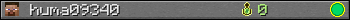 huma09340 userbar 350x20