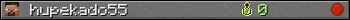 hupekado55 userbar 350x20