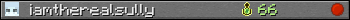 iamtherealsully userbar 350x20