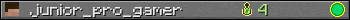 junior_pro_gamer userbar 350x20