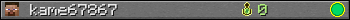 kame67867 userbar 350x20