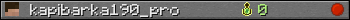 kapibarka190_pro userbar 350x20