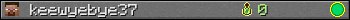 keewyebye37 userbar 350x20