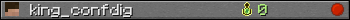 king_confdig userbar 350x20