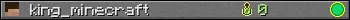 king_minecraft userbar 350x20