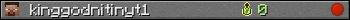 kinggodnitinyt1 userbar 350x20