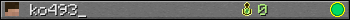 ko493_ userbar 350x20