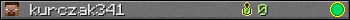 kurczak341 userbar 350x20
