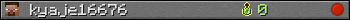 kyaje16676 userbar 350x20