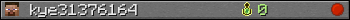 kye31376164 userbar 350x20