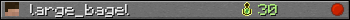 large_bagel userbar 350x20