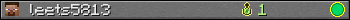 leets5813 userbar 350x20