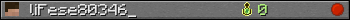 liFese80346_ userbar 350x20
