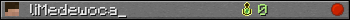 liMedewoca_ userbar 350x20