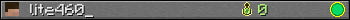 lite460_ userbar 350x20