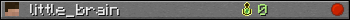 little_brain userbar 350x20