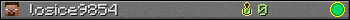 losice9854 userbar 350x20